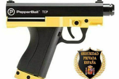 armas_decorativas_032