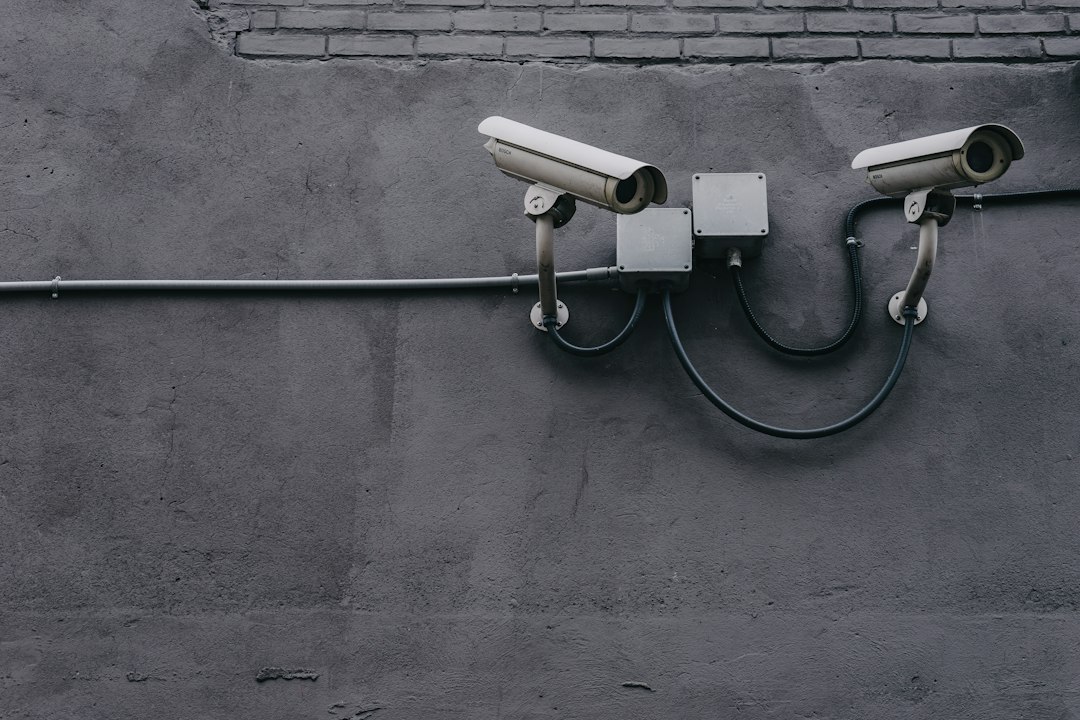 Control de acceso en una instalación, funciones de vigilantes y auxiliares de servicios
